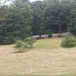 Morristown National Historical Park