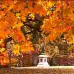 Guilford Courthouse National Military Park