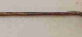 seneca1